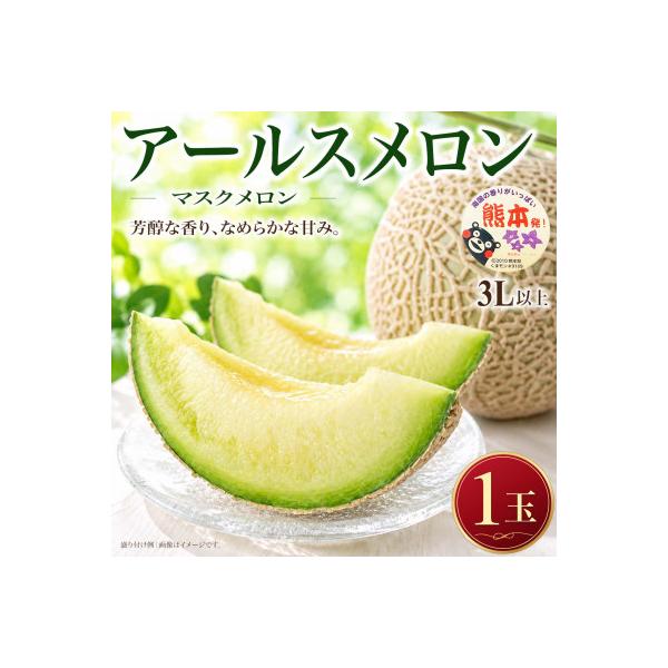 菊池市 熊本県産 上品な甘さ とろける果肉 アールスメロン 3L以上 1玉 約1.7kg (菊池市)