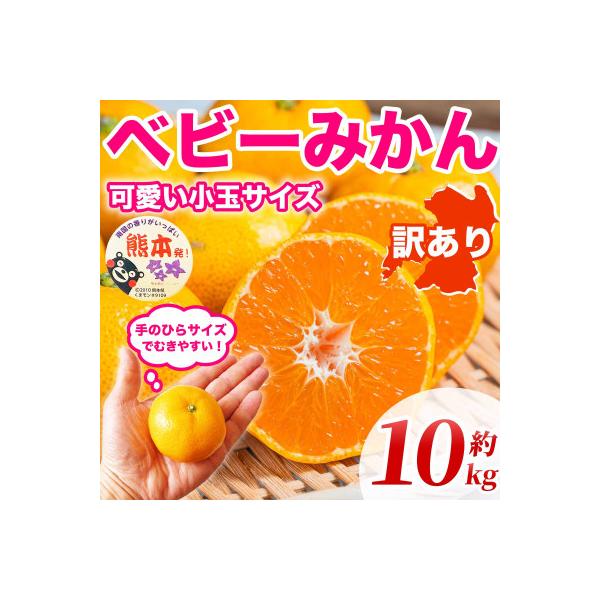 益城町 今が旬!熊本県産 訳あり 小玉・小粒 ベビーみかん 3S〜Mサイズ 約10kg(益城町)