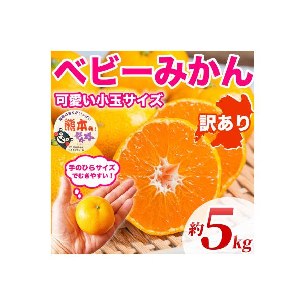 益城町 今が旬!熊本県産 訳あり 小玉・小粒 ベビーみかん 3S〜Mサイズ 約5kg(益城町)