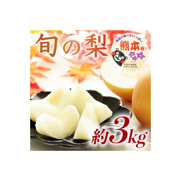 玉名市 熊本県産 秋の味覚! 旬の梨(豊水梨・ 約3kg / 約3kg / 4〜12玉