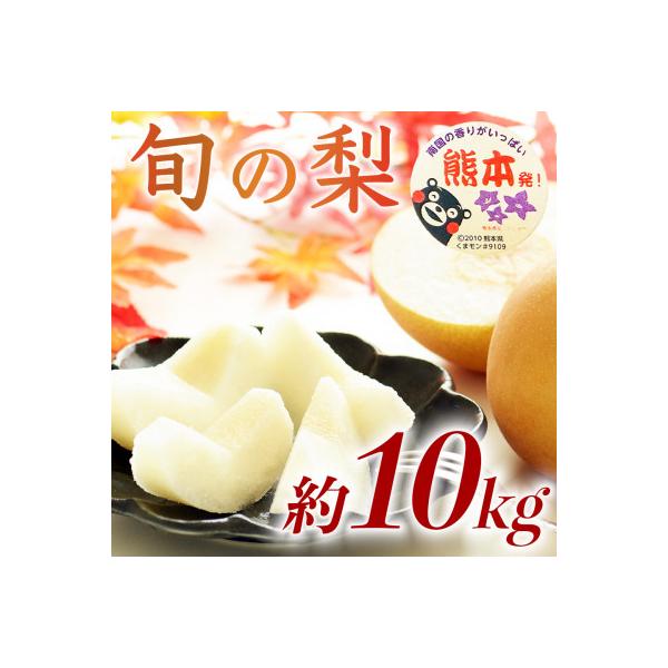 荒尾市 旬の梨 品種おまかせ 豊水・秋月・新高 甘い みずみずしいフルーツ12〜36玉 約10kg(荒尾市)