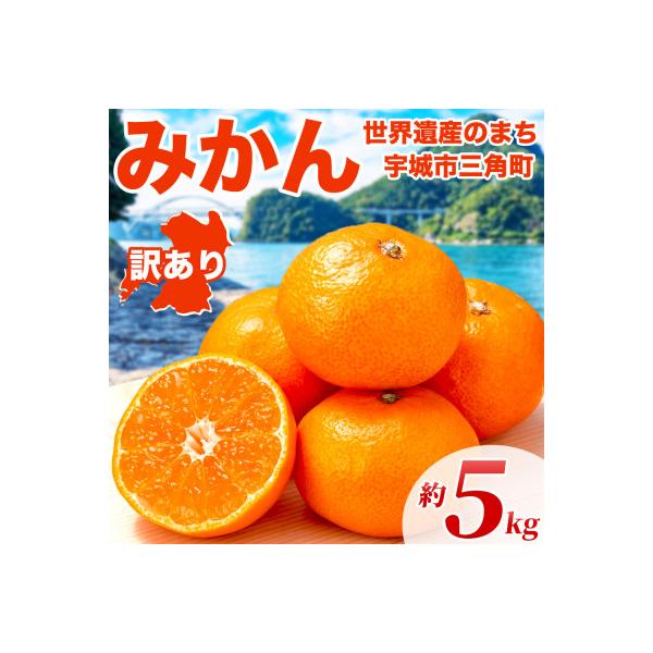 宇城市 【先行予約】熊本県 宇城市産 ご家庭用 訳あり みかん 3S〜3L 約5kg(宇城市)