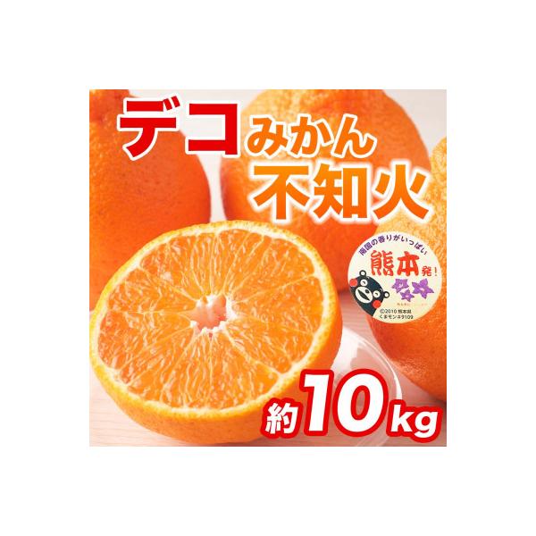 和水町 【先行予約】 熊本県産 不知火 甘さが濃厚でジューシー! デコみかん 約10kg(和水町)