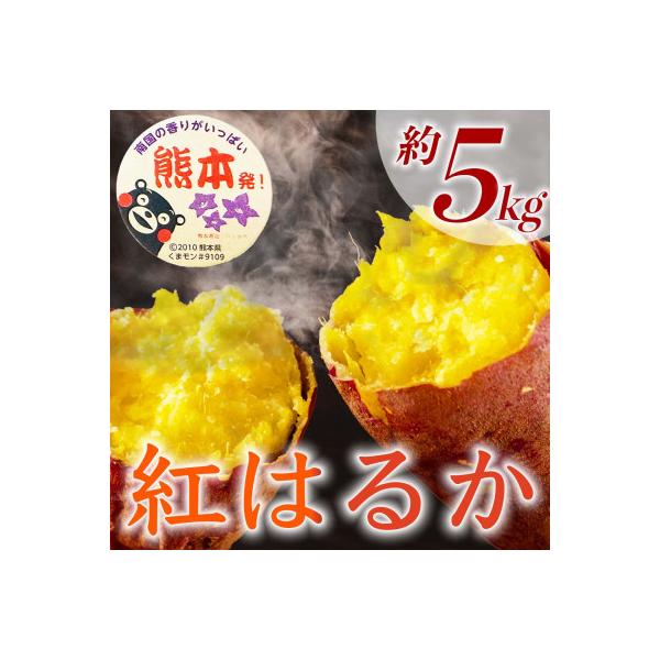 山鹿市 紅はるか さつまいも 約5kg(山鹿市)