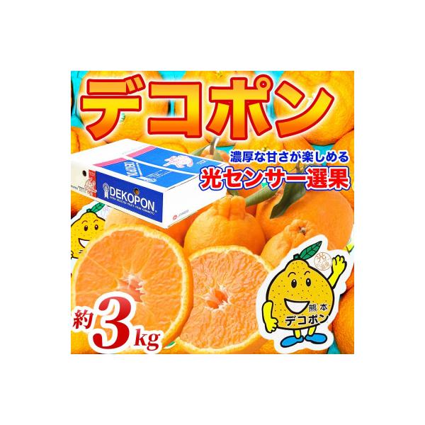 和水町 【先行予約】熊本県産 ブランド柑橘! 甘いジューシ! デコポン 約3kg(6〜13玉) (和水町)