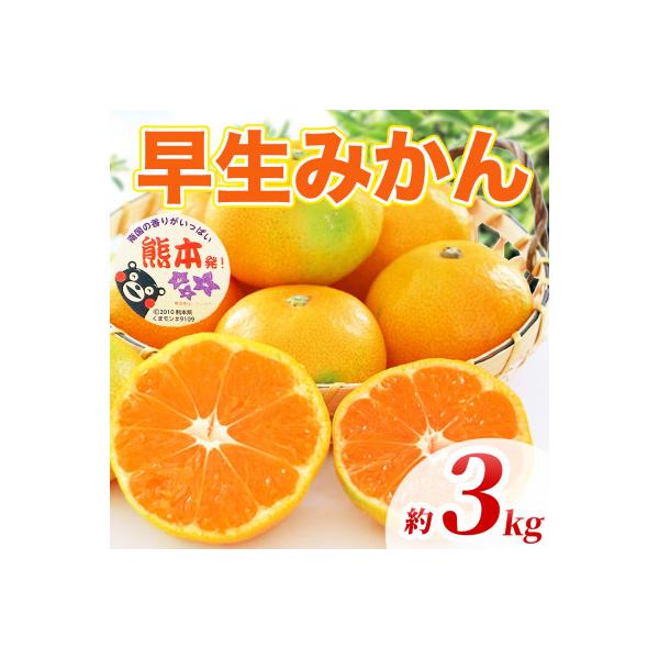 和水町 早生みかん 2S〜2L 約3kg(和水町)