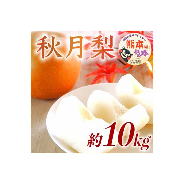 荒尾市 熊本県産 秋月梨 12〜36玉 約10kg 甘くて みずみずしい秋のフルーツ・ナシ(荒尾市)