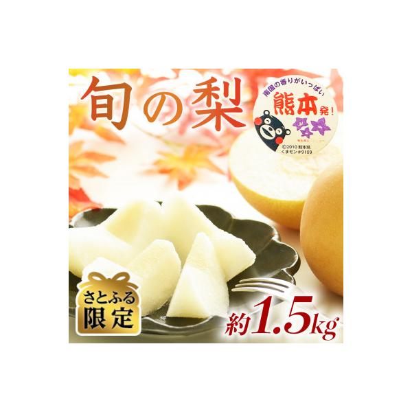 玉名市 【さとふる限定】数量限定秋のフルーツおすすめ!熊本県産旬の梨(豊水・秋月・新高)約1.5kg 玉名市