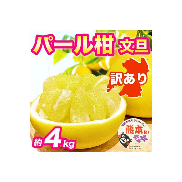 宇城市 【先行予約】 熊本県 宇城市産 訳あり ご家庭用 パール柑 文旦 約4kg(宇城市)