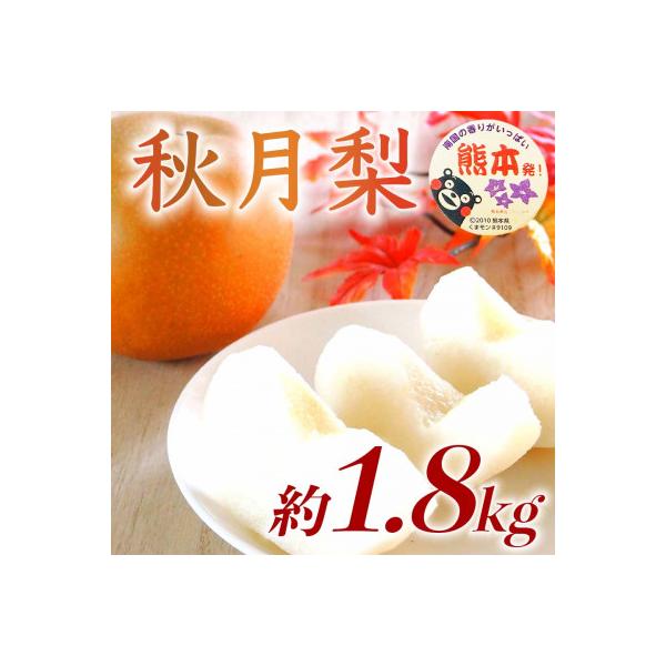 菊池市 熊本県産 秋の味覚 高糖度 梨 秋月梨 約1.8kg(5〜8玉)(菊池市)